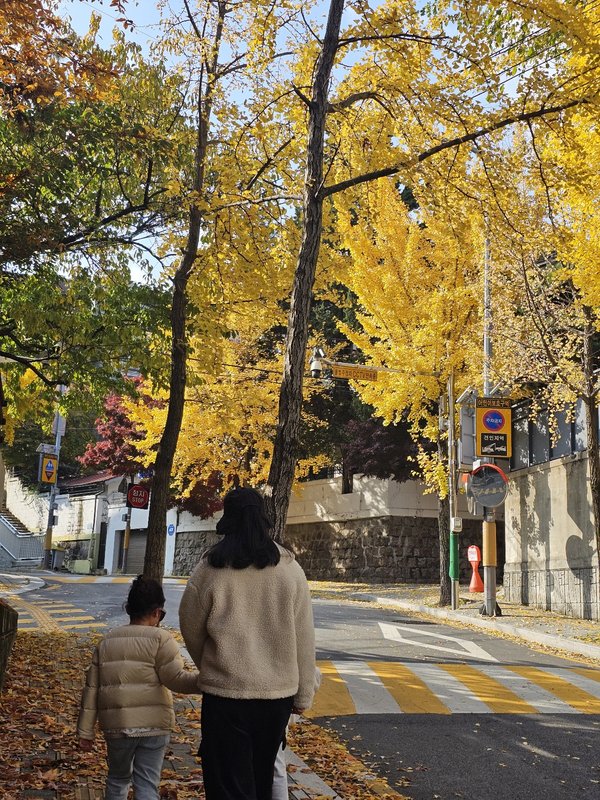 서교주차장-인왕산등산로